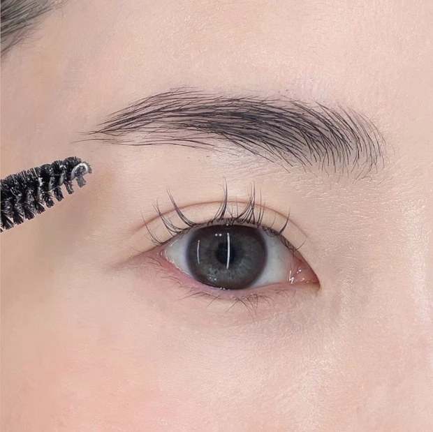 2. ブラシで整える