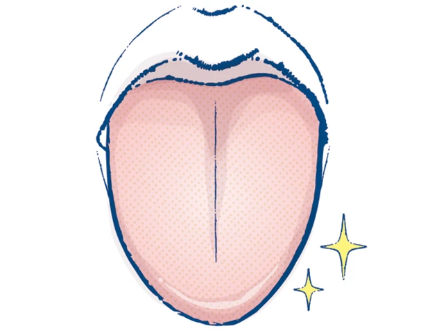 目指せ、日々快調！湿気とのつき合い方 PhotoGallery_1_18