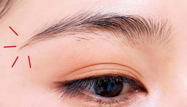 トレンド眉 「ふわゆるアーチ眉」の描き方2