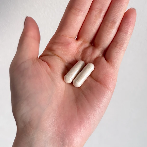 サッカロミセス・ブラウディ