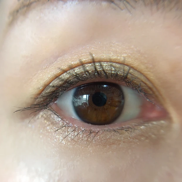 シンクロマティック アイシャドウパレット09 スウォッチ