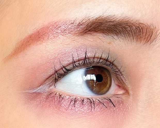 【WHOMEE(フーミー)話題の新作】イガリシノブさん的骨格理論で簡単垢抜けメイク💖【時計回りパレット・反時計回りパレット】_16_1