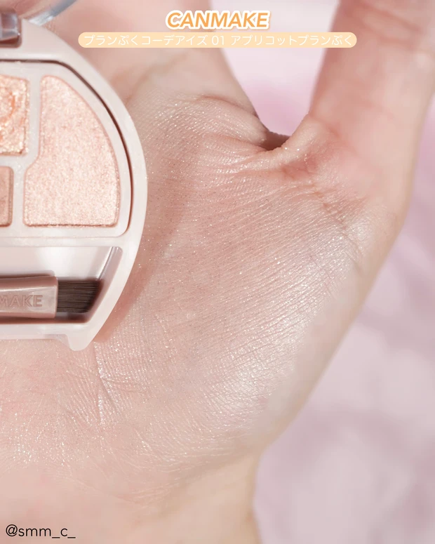 01 アプリコットプランぷく