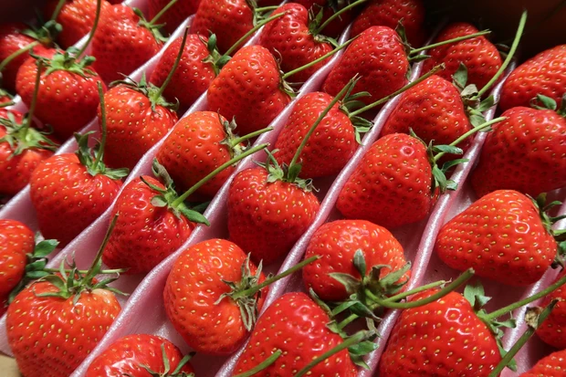 ZARA×JoMalonコラボフレグランス♡アマルフィ サンレイ♡_2_2