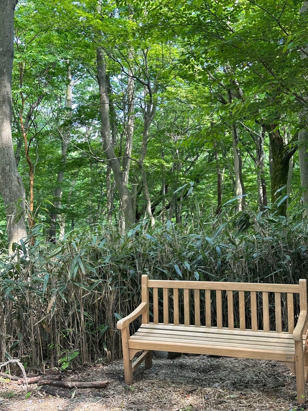 ニコライ・バーグマンが作ったガーデンで森林浴 デトックス!聞いて欲しい園内の廃材利用の工夫。_5_1