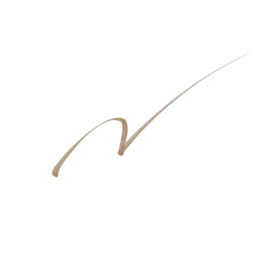 サナ ニューボーン シューティングリキッドアイブロウ 02 ロイヤルブラウン