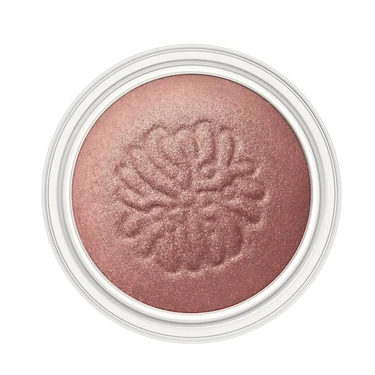 PAUL & JOE(ポール & ジョー) シマリング アイカラー 05 クシェ ドゥ ソレイユ