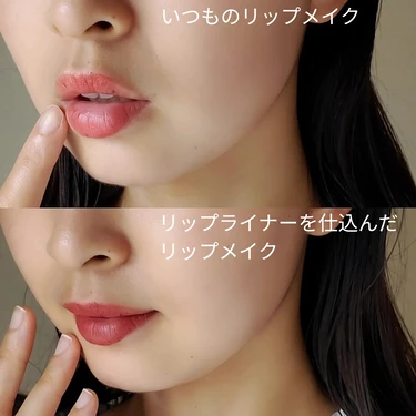 SHISEIDO リップライナー