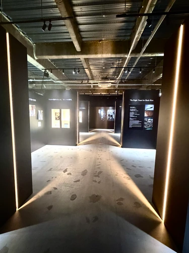 展示