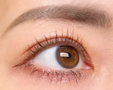 CANMAKE キャンメイク プティパレットアイズ 全色レビュー プチプラコスメ