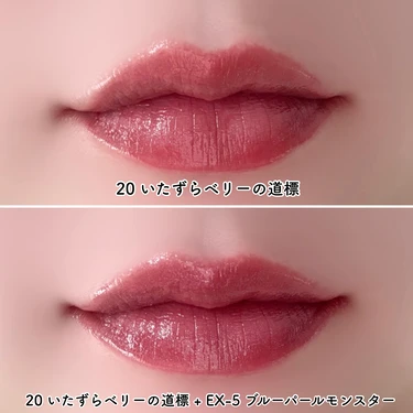 リップモンスター カラートナー EX-5 ブルーパールモンスター