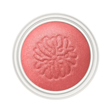 PAUL & JOE(ポール & ジョー) シマリング アイカラー 04 パジャマ パーティー