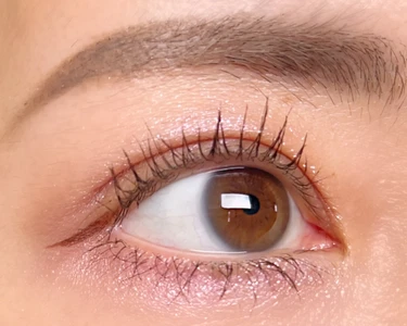 CANMAKE キャンメイク プティパレットアイズ 全色レビュー プチプラコスメ