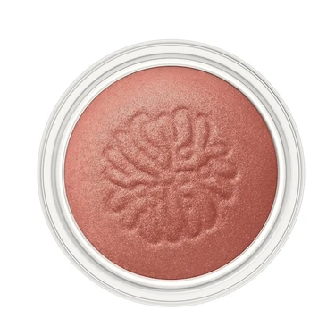 PAUL & JOE(ポール & ジョー) シマリング アイカラー 07 メープルフレンチ