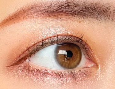 CANMAKE キャンメイク プティパレットアイズ 全色レビュー プチプラコスメ