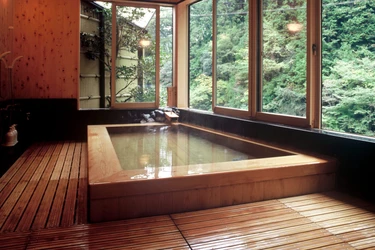 和歌山県・日本三美人の湯「龍神温泉  上御殿」