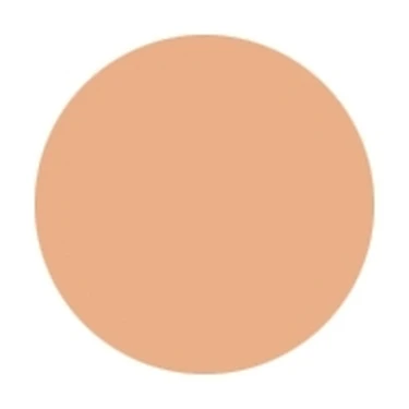 SHISEIDO メーキャップ スポッツカバーファウンデイション S100