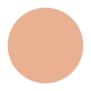 SHISEIDO メーキャップ スポッツカバーファウンデイション H100（中心色）