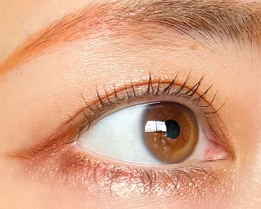 CANMAKE キャンメイク プティパレットアイズ 全色レビュー プチプラコスメ