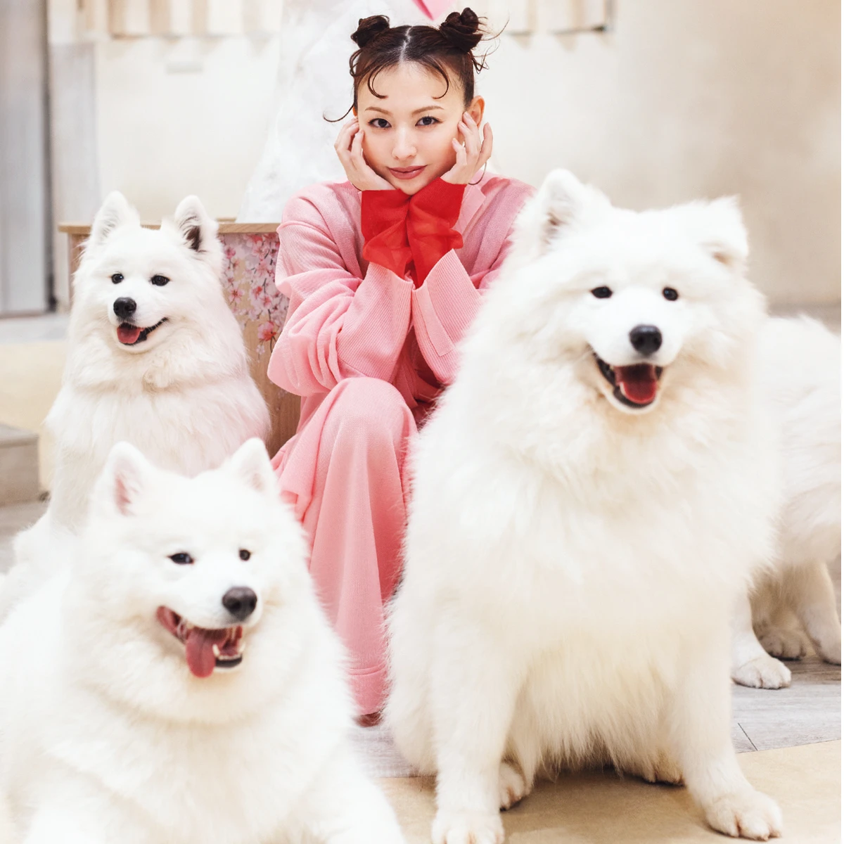 鈴木えみ、念願のサモエドカフェへ行く。ペースを合わせて心が通う、動物との向き合い方
