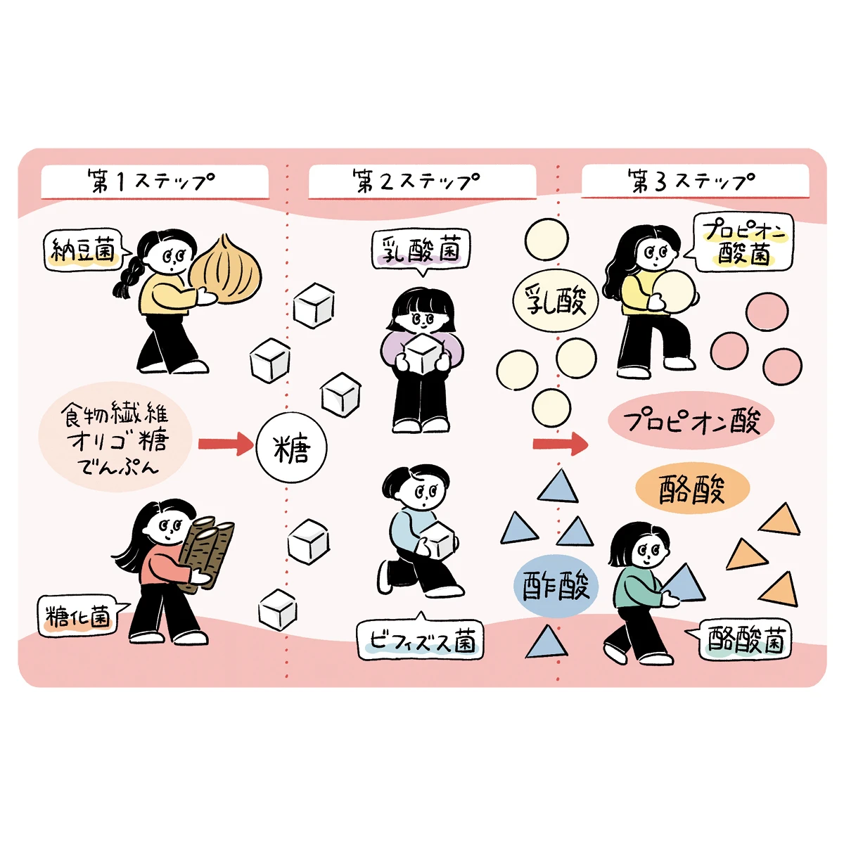 いま押さえるべき腸活ワード「発酵性食物繊維」「菌のリレー」を解説。目指すは、腸からキレイ！
