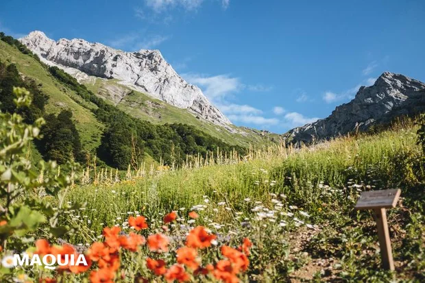 クラランス　B Corp　CSR  美容-6