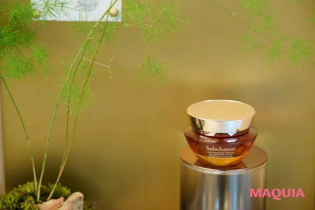 韓国　ソルファス　アモーレパシフィック　ジャウムセンクリーム