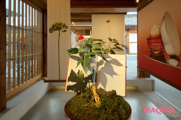 韓国　ソルファス　アモーレパシフィック　プクチョン旗艦店内装