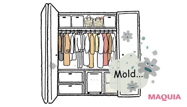 おなかのカビ対策 NG 住まいのカビ対策を