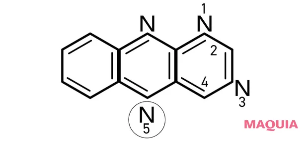 新型ビタミン　５デアザフラビン（TND1128）