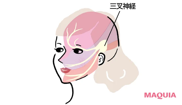 神経のエイジングケア 美肌の司令塔、三叉神経