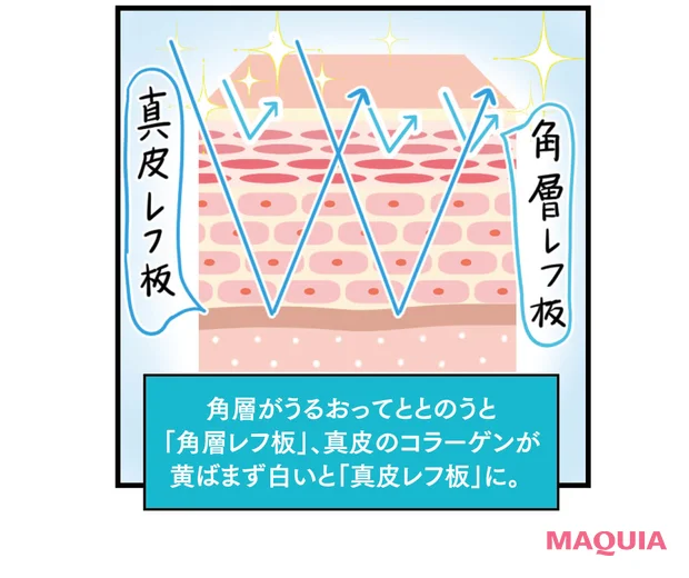 レフ板ブライトニングのイメージ　各層と真皮