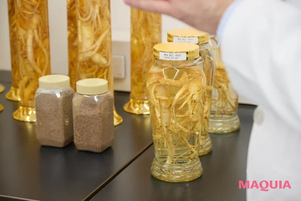 韓国　ソルファス　アモーレパシフィック　高麗人参のアルコール漬け