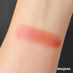 イエベ秋 リップ おすすめ スウォッチ つけ試し 使用感 ヴィセ