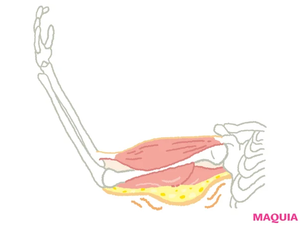 筋肉・脂肪・皮膚のトリプルたるみ発生