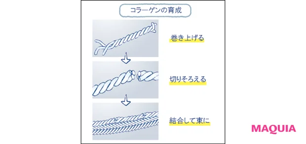 美容 成分 コラジェネシス エリクシール リフトモイスト エマルジョン ba   エリクシール リフトモイスト ローション ba　2