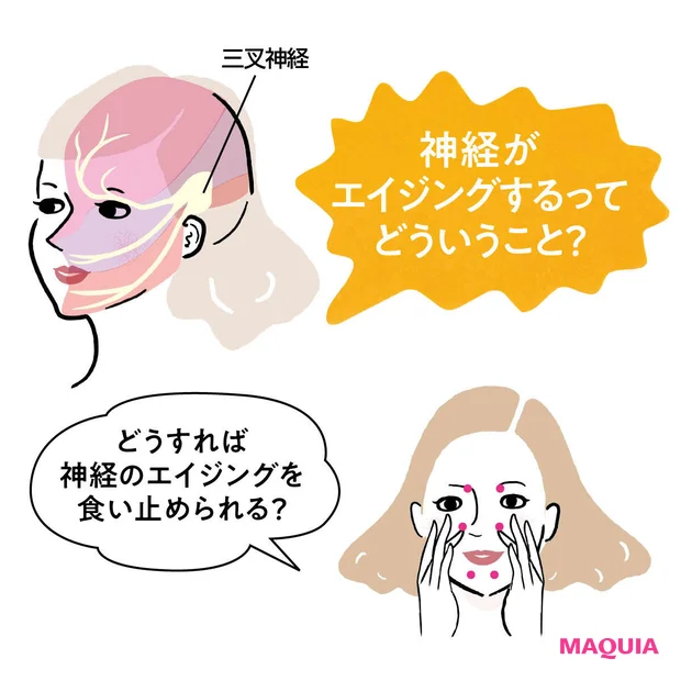 【神経のエイジングケアとは】肌の劣化に、実は神経も関わってるって知ってた…