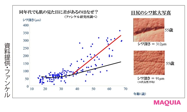 同年代でも肌の見た目に差があるのはなぜ?