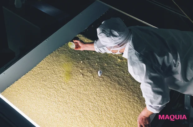 マキア 11月号付録 ローションエサンシエルA＜化粧水＞ プレシャス米作業工程