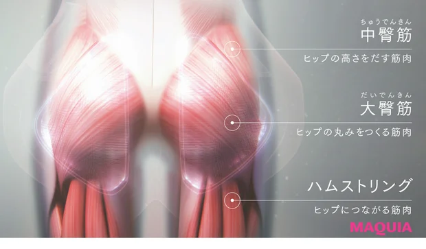 お尻を鍛えるのに「ヒップ専用EMS」は買い? 話題の2機種をマキアエディターが検証_14