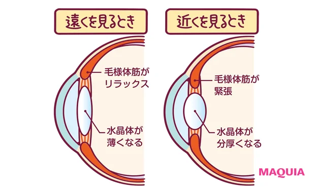 スマホ老眼のしくみ