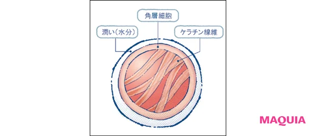 秋 新作 スキンケア est エスト ザ エマルジョン EX ザ ローション EX 細胞のミイラ化
