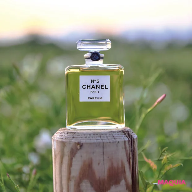 【シャネル N°5】“星の花”ジャスミンが咲き誇るフランスの都市グラース…