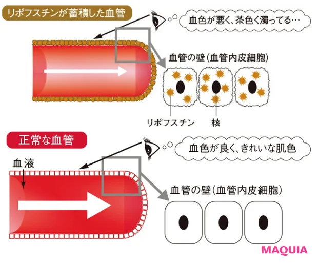 肌の色にダブルの悪影響が!