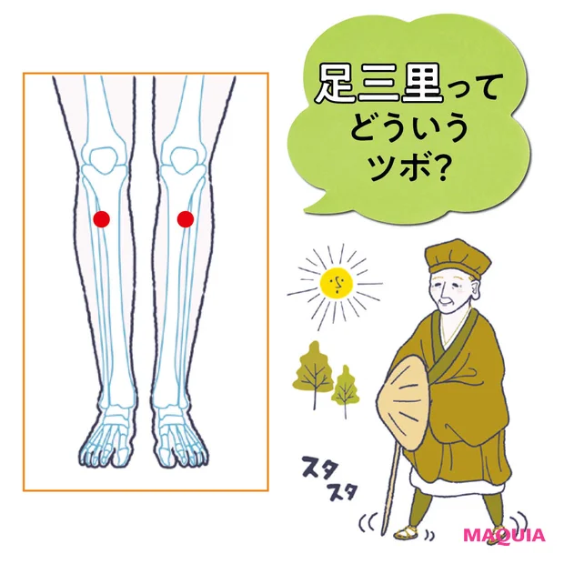 【質のいい睡眠】ツボ「足三里」のすごい効果とは？正確な位置や押し方を小田さんがインタビュー！