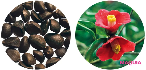 ベスコス受賞も納得！ 賞賛を集めたコスメの“すごいレシピ”を徹底解剖【MAQUIAベストコスメ2025上半期】_10