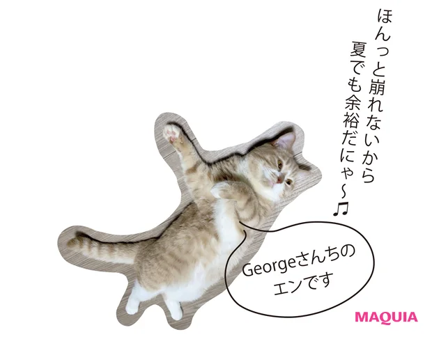 Georgeさんちの飼い猫エン