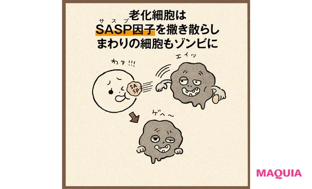 上半期ベスト・オブ・ベスト大賞「アルティミューン」の舞台裏。“神”研究者の情熱が生んだ技術が結実【MAQUIAベストコスメ2025上半期】_5