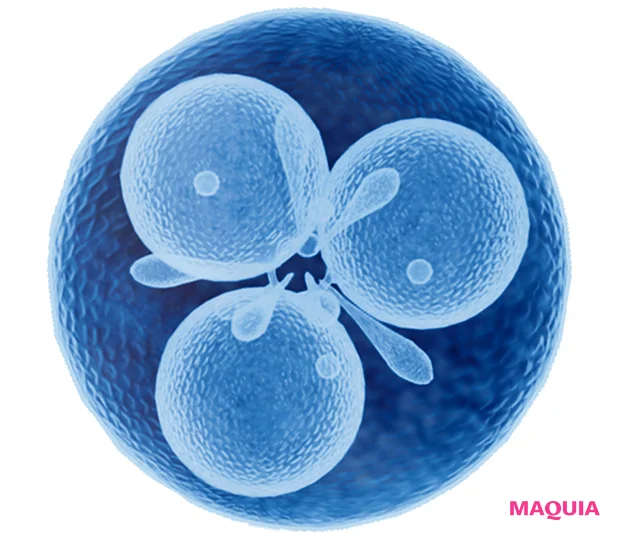 MAQUIA3月号で試せる！ 世界中で大人気、ラ ロッシュ ポゼのなめらかバーム_3_3