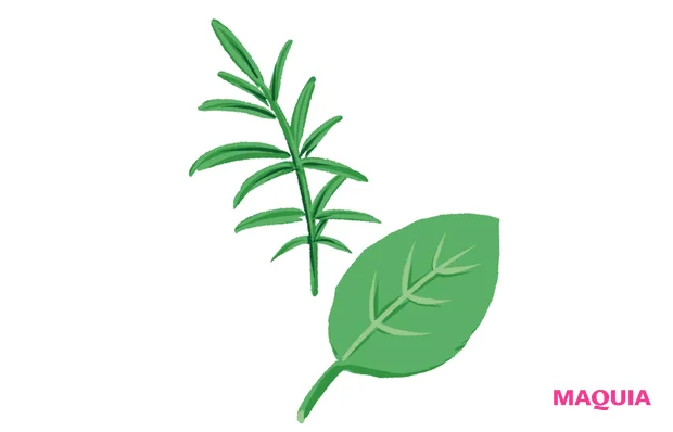 穏やかに作用し禁忌がない成分